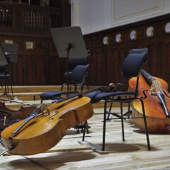 Cello, musical instrument