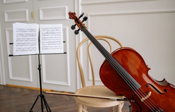 close up shot of a cello